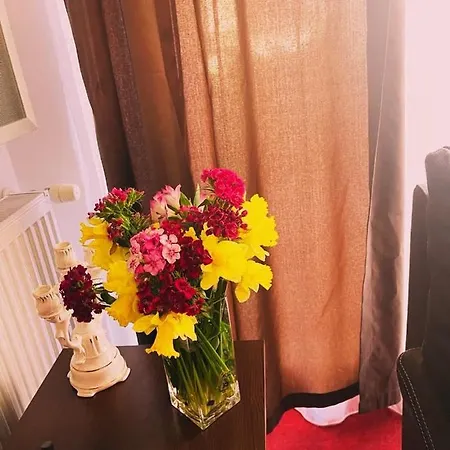 Lägenhet Livapartaments Cluj-Napoca
